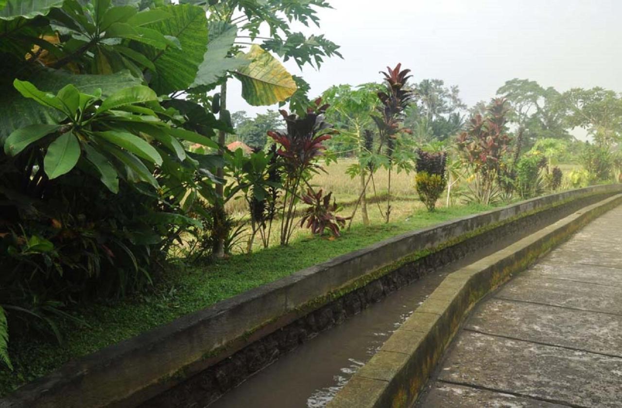 Candra Asri Bungalow Ubud Eksteriør bilde